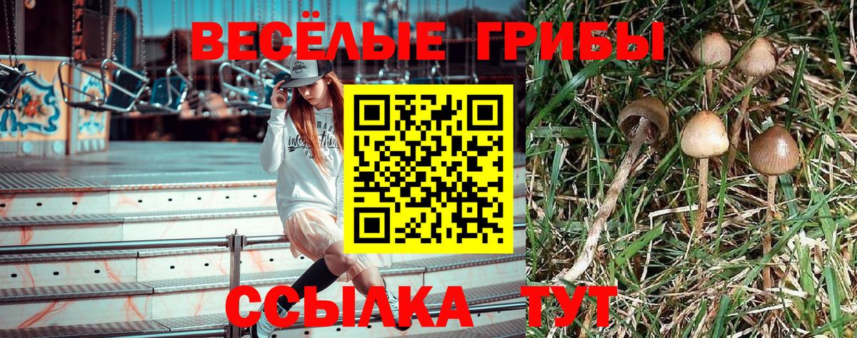 Галлюциногенные грибы MAGIC MUSHROOMS Менделеевск